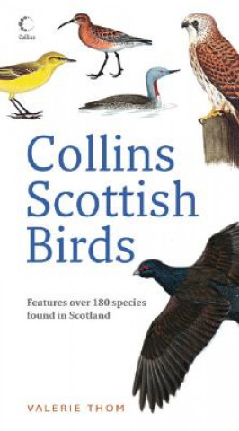 Collins Scottish Birds