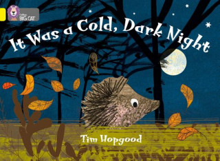 It Was a Cold Dark Night (Tim Hopgood)(Puha kötésű)