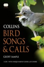 Collins Bird Songs and Calls