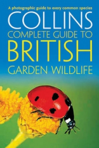 British Garden Wildlife