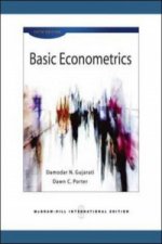 Basic Econometrics (Int'l Ed)