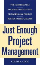 Just Enough Project Management:  The Indispensable Four-step Process for Managing Any Project, Better, Faster, Cheaper