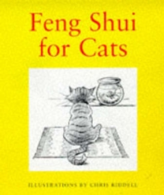 Feng Shui for Cats