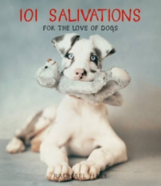 101 Salivations