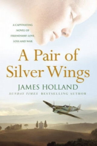 Pair of Silver Wings