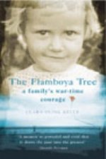 Flamboya Tree