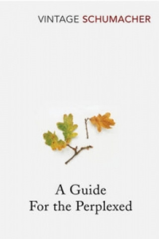 Guide For the Perplexed