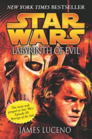 Star Wars: Labyrinth of Evil