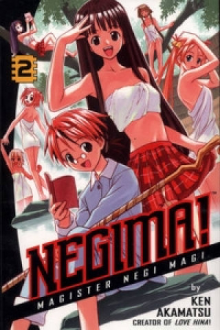 Negima Volume 2
