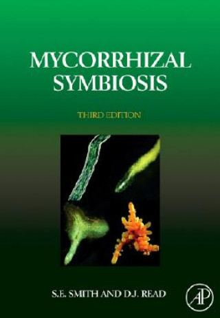 Mycorrhizal Symbiosis