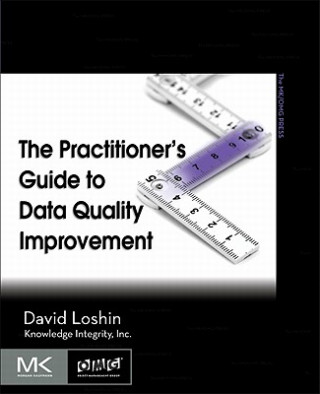 Practitioner's Guide to Data Quality Improvement