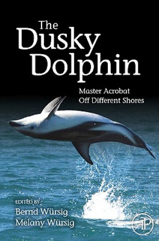 Dusky Dolphin