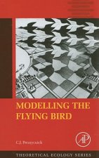 Modelling the Flying Bird