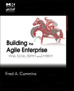 Building the Agile Enterprise