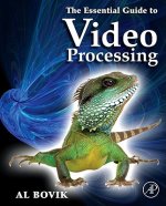 Essential Guide to Video Processing