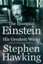 Essential Einstein