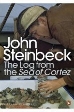Log from the Sea of Cortez