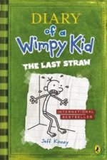 Diary of a Wimpy Kid book 3