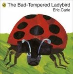 Bad-tempered Ladybird