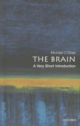 Brain: A Very Short Introduction