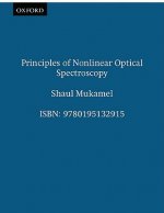 Principles of Nonlinear Optical Spectroscopy