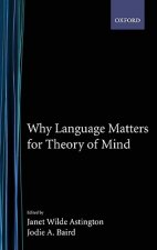 Why Language Matters for Theory of Mind