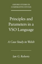 Principles and Parameters in a VSO Language