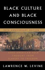 Black Culture and Black Consciousness