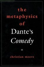 Metaphysics of Dante's Comedy