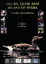 Ducks, Geese and Swans of India