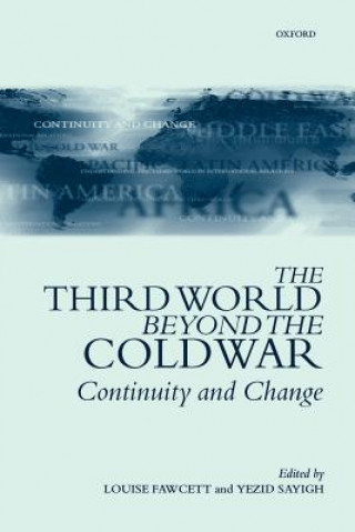 Third World Beyond the Cold War