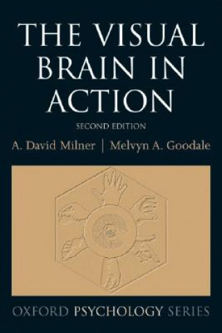 Visual Brain in Action