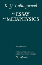 Essay on Metaphysics