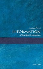 Information: A Very Short Introduction