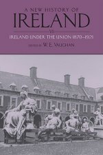 New History of Ireland, Volume VI