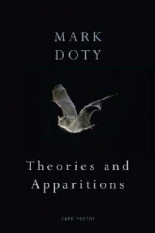 Theories and Apparitions