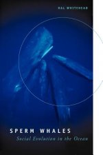 Sperm Whales
