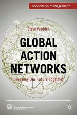 Global Action Networks