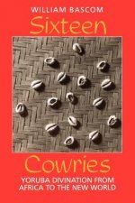 Sixteen Cowries