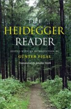 Heidegger Reader