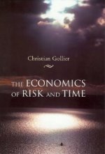 Economics of Risk and Time