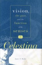 Vision, the Gaze, and the Function of the Senses in 