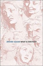 What Is Emotion?