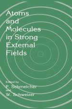 Atoms and Molecules in Strong External Fields