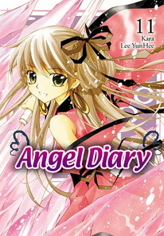Angel Diary, Vol. 11