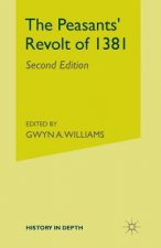 Peasants' Revolt of 1381
