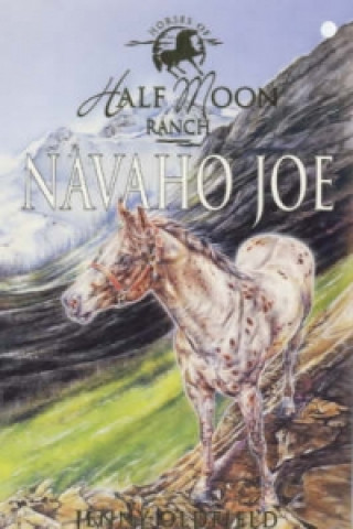Horses of Half Moon Ranch: Navaho Joe
