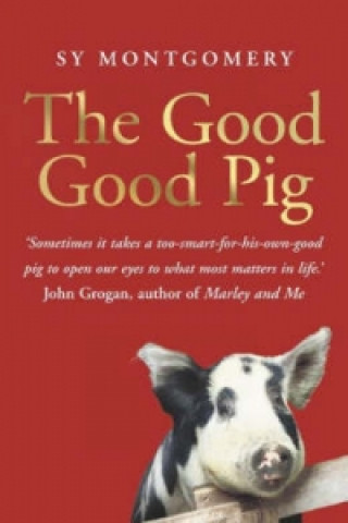 Good Good Pig