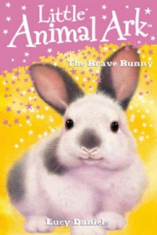 Brave Bunny