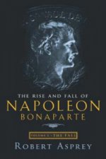 Rise And Fall Of Napoleon Vol 2: The Fall